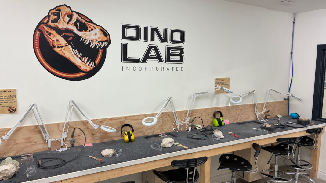 Dino Lab Inc: Where World-Class Paleontology Meets Interactive Tourism ...